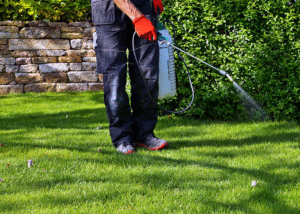 Naware chemical-free weed killer technology using steam to eliminate weeds on lawns without chemicals