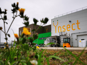 Ÿnsect insect farming bankruptcy site in France, showing the company’s industrial protein production facility